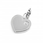 Charm acciaio cuore con zircone